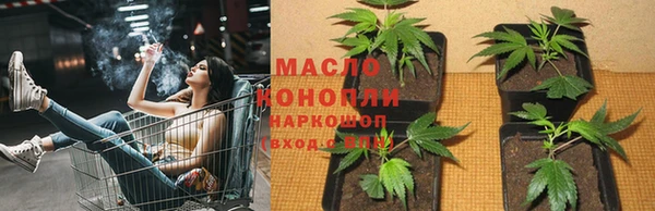 прущие крисы Абаза