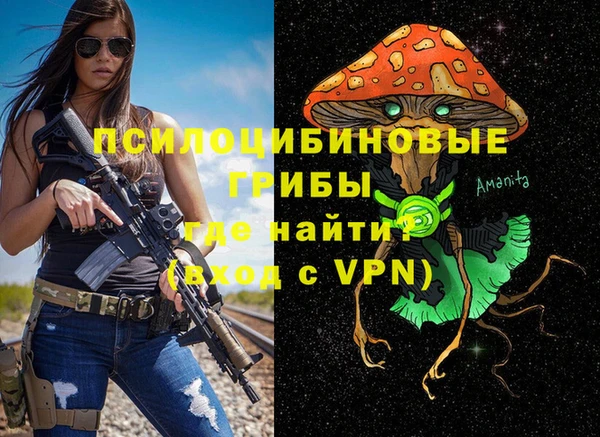 сатива Алзамай